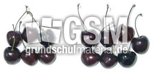 Kirschen6+7.jpg